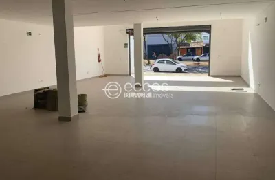 Loja para aluguel, 3 vagas, dona zulmira - uberlândia/mg