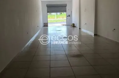 Galpão para aluguel, Loteamento Residencial Pequis - Uberlândia/MG