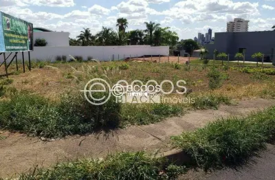 Terreno comercial para alugar na Avenida Nicomedes Alves dos Santos, 63, Morada da Colina, Uberlândia