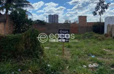 Terreno à venda na Rua Lourival Raghiante Samora, Shopping Park, Uberlândia