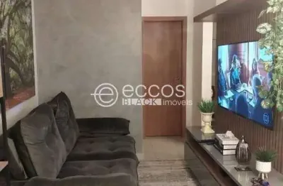 Apartamento à venda, 2 quartos, 1 suíte, 2 vagas, granja marileusa - uberlândia/mg