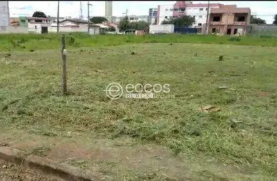Terreno à venda na Avenida Doutor Vicente Salles Guimarães, Alto Umuarama, Uberlândia