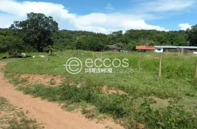 Chácara / sítio com 3 quartos à venda na Fazenda 4 Barreiras, 100, Zona Rural, Cascalho Rico