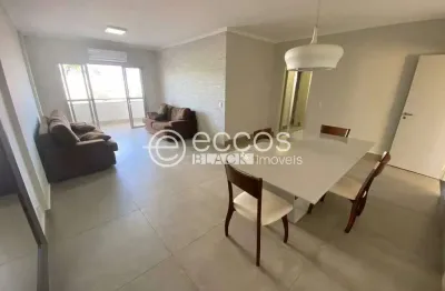 Apartamento para aluguel, 3 quartos, 1 suíte, 2 vagas, fundinho - uberlândia/mg