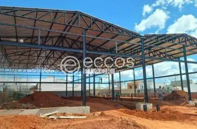 Barracão / Galpão / Depósito para alugar na Avenida Victor Alves Pereira, Novo Mundo, Uberlândia