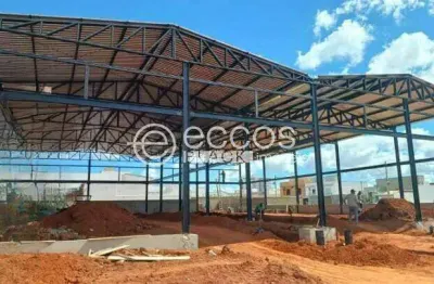 Barracão / Galpão / Depósito para alugar na Avenida Victor Alves Pereira, Novo Mundo, Uberlândia