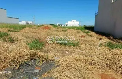 Terreno para aluguel, alto umuarama - uberlândia/mg