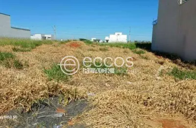 Terreno comercial para alugar na Rua Ciano, 99, Alto Umuarama, Uberlândia