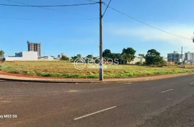 Terreno para aluguel, portal do vale - uberlândia/mg