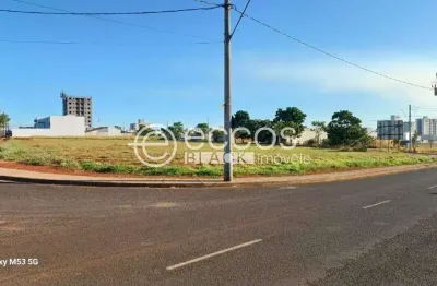 Terreno comercial para alugar na Avenida Anselmo Alves dos Santos, 97, Portal do Vale, Uberlândia