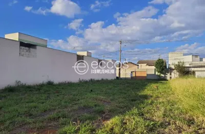 Terreno à venda na Rua Minneapolis, 63, Novo Mundo, Uberlândia