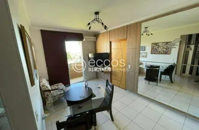 Apartamento à venda, 2 quartos, 1 suíte, 1 vaga, santa mônica - uberlândia/mg