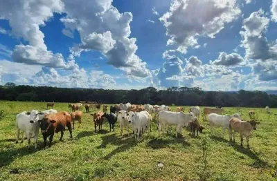 Fazenda à venda, 4 quartos, 1 suíte, zona rural - campo florido/mg