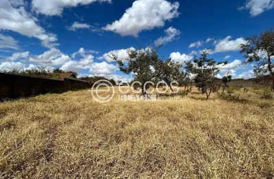 Terreno à venda na Rua Antônio Luciano do Amaral, 91, Jardim Europa, Uberlândia