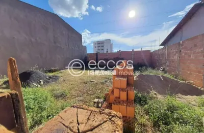Terreno à venda na Rua Luiz José Alves, Luizote de Freitas, Uberlândia