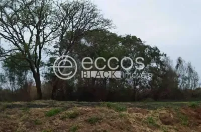 Terreno à venda na Alameda Cláudio Manoel da Costa, 86, City Uberlândia, Uberlândia