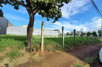 Terreno à venda na Avenida Francisco Ribeiro, 63, Santa Mônica, Uberlândia