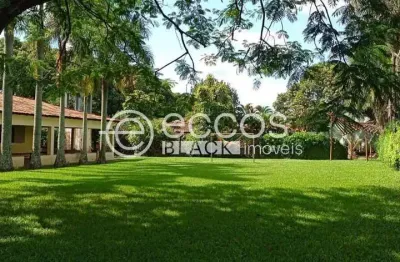 Chácara à venda, 4 quartos, 1 suíte, jockey camping - uberlândia/mg