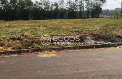 Terreno à venda na Rua Euclides Ferreira Tavares, 86, Jardim Ipanema I, Uberlândia