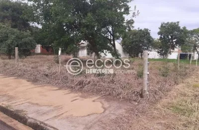 Terreno à venda na Avenida Luiz Fernando Quirino, 354, Jardim Botânico, Uberlândia