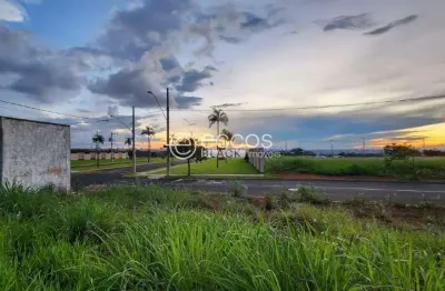 Terreno à venda na Rua Aquarela, 83, Alto Umuarama, Uberlândia