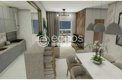 Apartamento à venda, 2 quartos, 1 suíte, 2 vagas, santa mônica - uberlândia/mg