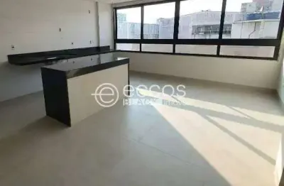 Apartamento à venda, 3 quartos, 1 suíte, 2 vagas, brasil - uberlândia/mg