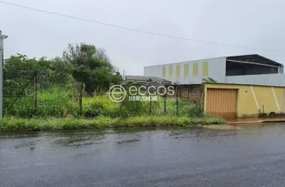 Terreno à venda na Rua Lourdes de Carvalho, 63, Santa Mônica, Uberlândia