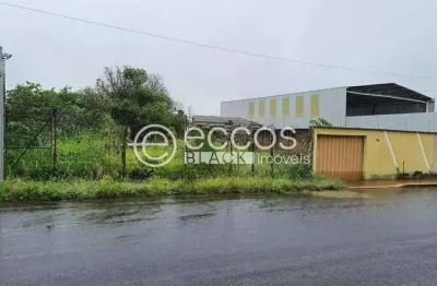 Terreno à venda na Rua Lourdes de Carvalho, Santa Mônica, Uberlândia