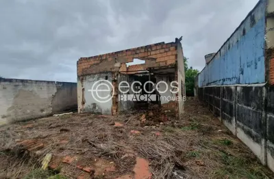 Casa com 1 quarto à venda na Rua Antônio Salviano de Rezende, 225, Santa Mônica, Uberlândia