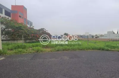 Terreno à venda na Rua Alfredo Vilela De Andrade, 60, Morada da Colina, Uberlândia