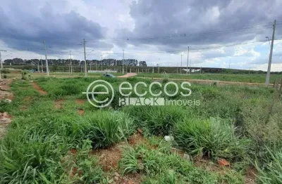 Terreno à venda na Rua Basílio Da Gama, Novo Mundo, Uberlândia