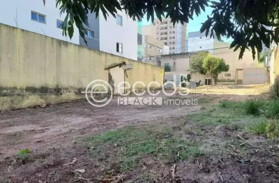 Terreno à venda na Rua Cecílio Jorge, 659, Santa Mônica, Uberlândia