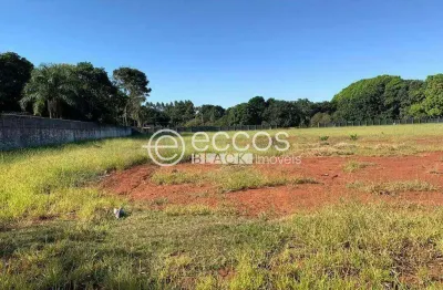 Terreno à venda na Rua das Palmeiras, 88, Panorama, Uberlândia