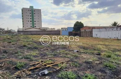 Terreno à venda na Rua Antônio Zeferino de Paula, Santa Mônica, Uberlândia