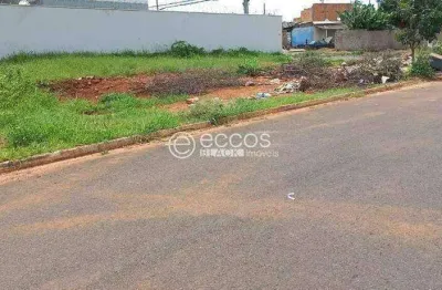 Terreno à venda na Rua João Coelho Guimarães, 75, Portal do Vale, Uberlândia