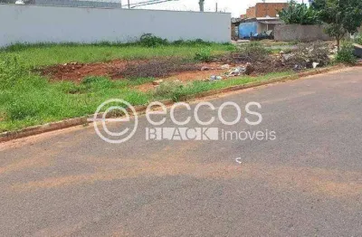 Terreno à venda na Rua João Coelho Guimarães, 75, Portal do Vale, Uberlândia