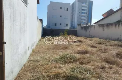 Terreno à venda na Rua Sebastião Rangel, 1156, Santa Mônica, Uberlândia