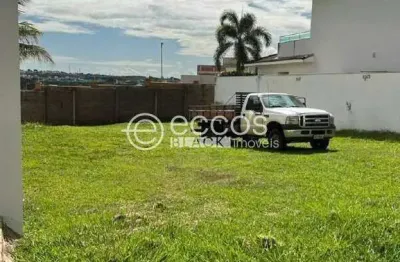 Terreno à venda na Alameda Ecológica, 80, Aclimação, Uberlândia