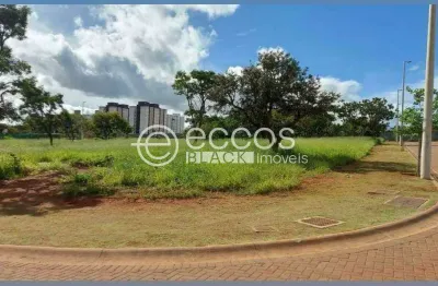 Terreno à venda na Avenida Vereador Carlito Cordeiro, 2967, Laranjeiras, Uberlândia