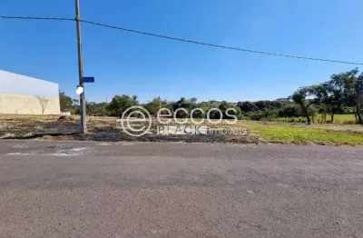 Terreno à venda na Avenida dos Siquieroli, 97, Jardim América I, Uberlândia