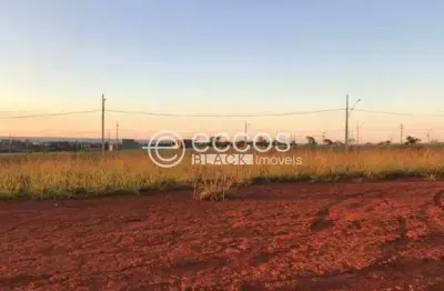Terreno à venda na Avenida Anselmo Alves dos Santos, 104, Portal do Vale, Uberlândia