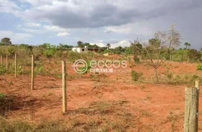 Chácara / sítio à venda na Rodovia BR-497, 108, Área Rural de Uberlândia, Uberlândia