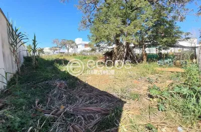 Terreno à venda na Rua Caracuri, Jardim Karaíba, Uberlândia