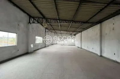 Barracão / Galpão / Depósito para alugar na Avenida Aldo Borges Leão, 2400, Jardim Canaã, Uberlândia