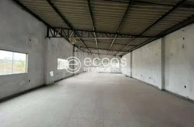 Barracão / Galpão / Depósito para alugar na Avenida Aldo Borges Leão, Jardim Canaã, Uberlândia