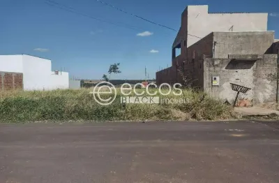 Terreno à venda na Rua Maria Do Rosário Gonçalves De Oliveira, Jardim Milenium, Araguari