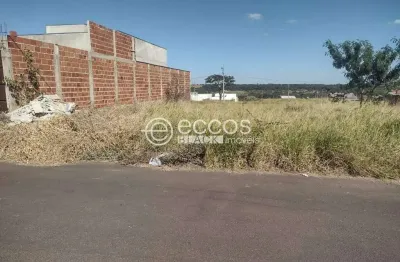 Terreno à venda na Rua Vilazito Gonçalves, 84, Jardim Milenium, Araguari