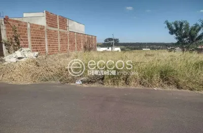 Terreno à venda na Rua Vilazito Gonçalves, 84, Jardim Milenium, Araguari