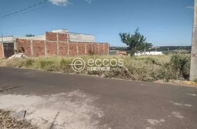 Terreno à venda na Rua Vilazito Gonçalves, 96, Jardim Milenium, Araguari